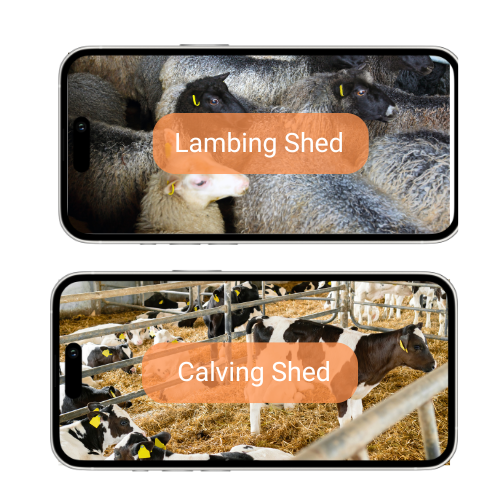 FarmGuard Solar 4K Camera System