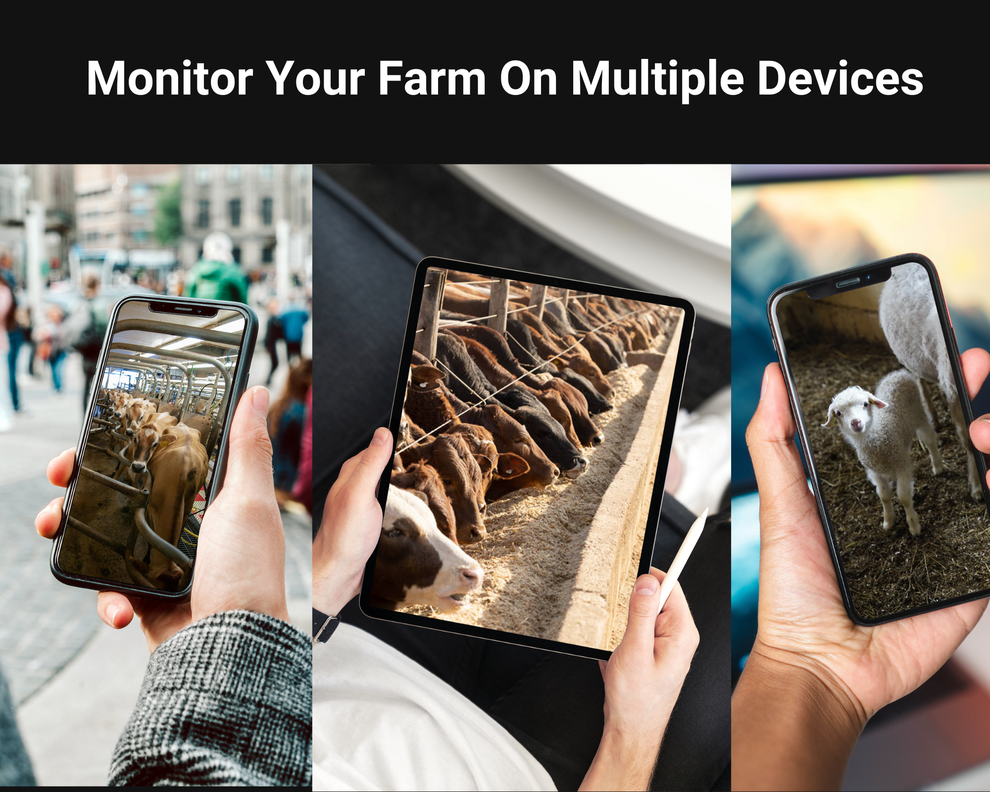 FarmGuard Solar 4K Camera System